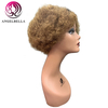 Biggest Afro Curly Custom Color Hair Wig Party Human Hair Wigs 