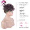 Wholesale Hair Manufactures Pixie Cut Human Hair Curly Wigs 