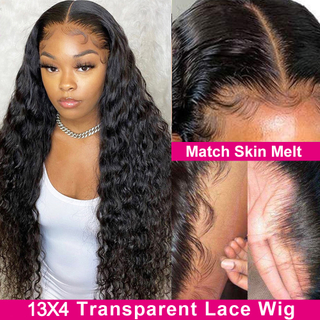 Pre Plucked Hd Swiss Transparent Lace Closure Human Hair Wig